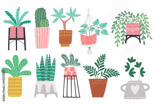 Set of different tropical house plant. Ficus, monstera, protea, pellaea, succulent in various pot, vase. Scandinavian cozy home decor. Flat vector cartoon illustration isolated on white background. photo