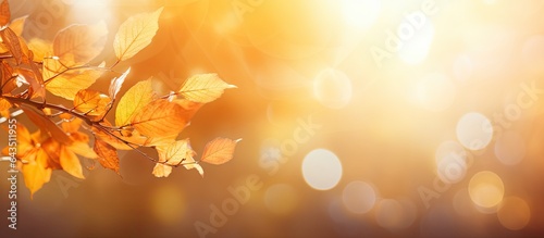 Autumnal sun serves as a na...