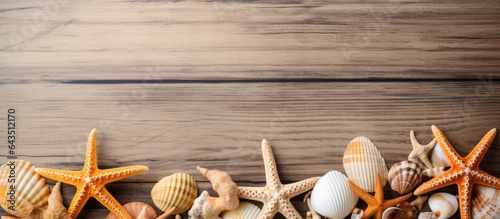 Sea stars and seashells on ...