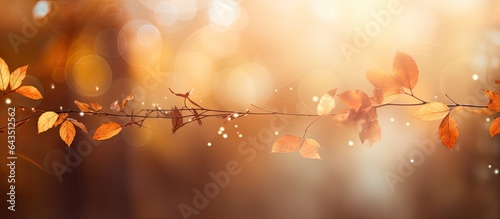 Autumnal sun serves as a na...