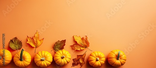 Top view of little orange p...