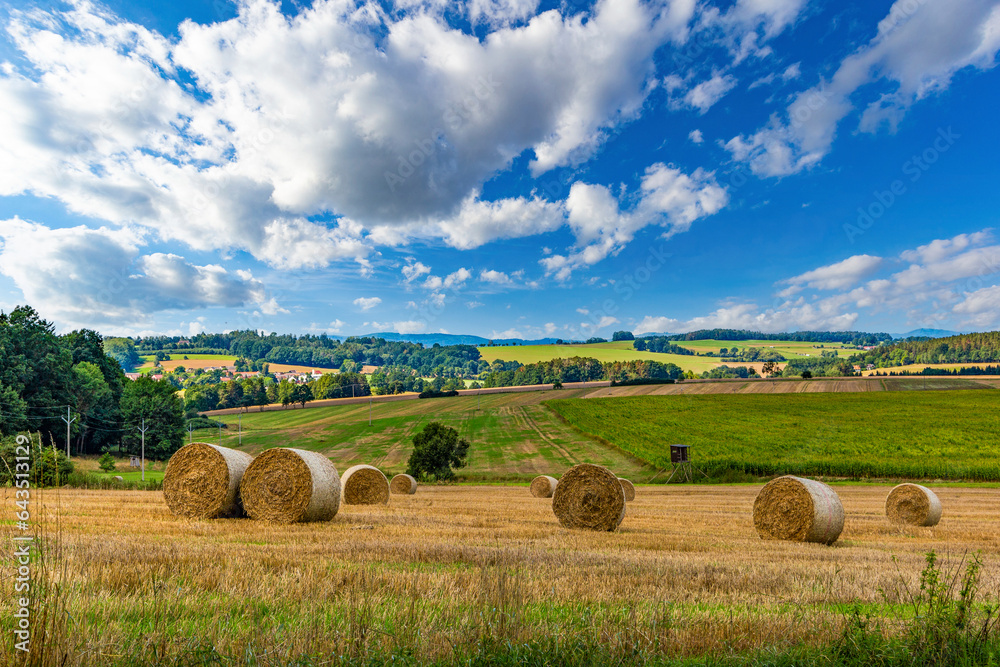 Round hay bale on a field with trees and a farms under a blue cloudy sky.