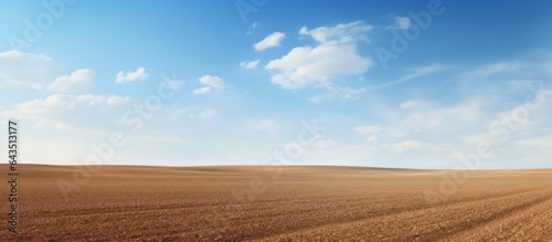Black soil and blue sky stretch across arable land creating ample room for creativity