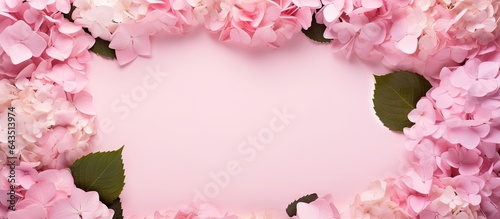 Pink hydrangea flowers with...