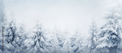 Winter forest with snow covered spruce branches during snowfall Outdoor nature background for Christmas card with space for text