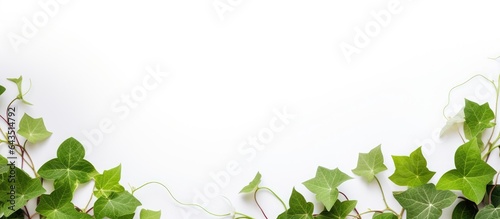 White background with white...