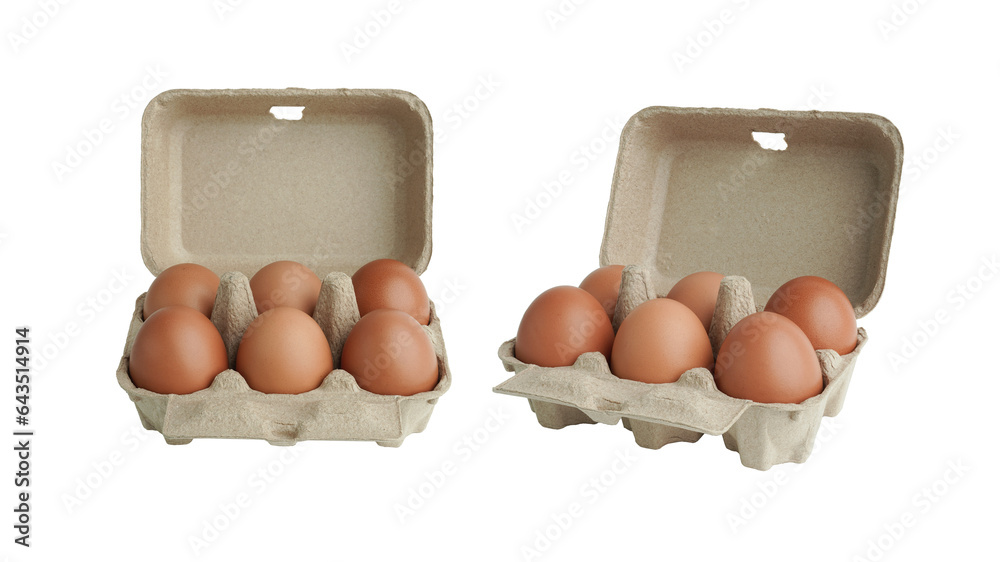 Set of chicken egg in egg box, packs of eggs, culinary ingredient
