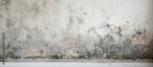 Close up background of a dilapidated house with dangerous toxic black mold caused by water damage photo