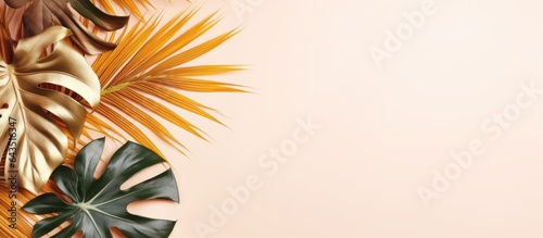 Exotic summer layout with c...