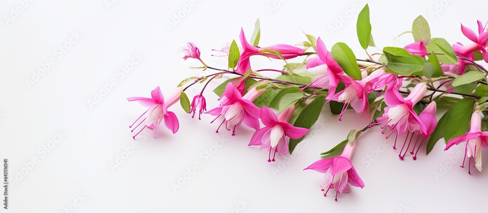 Minimalist style Easter and Mother s Day card with a petite bouquet of garden fuchsia pink flowers on a white background - obrazy, fototapety, plakaty 