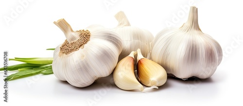 Raw garlic is a beneficial cooking spice for the body