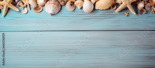 Sea stars and seashells on ...