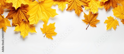 Autumn holiday banner featuring a stack of yellow maple leaves on a white background with room for text