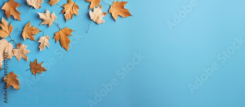 Autumn leaf pattern on blue...