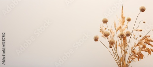 Plant with dehydrated flowers