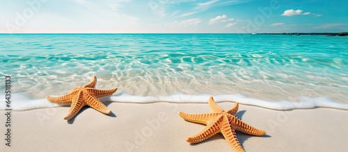 Starfish on the sandy beach...