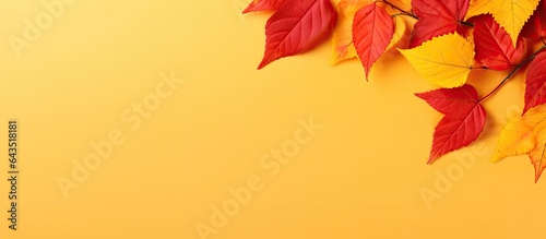 Red leaves in autumn surrounded by yellow with space for text