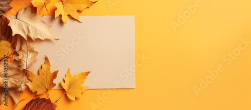 Top view of a craft sketchbook with fallen leaves on a colored background