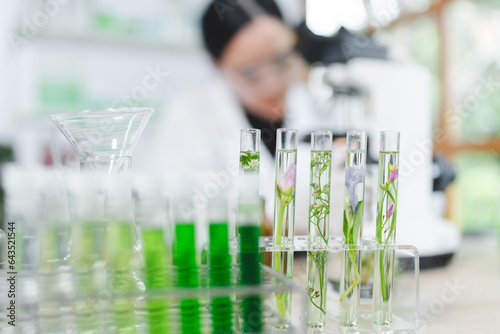 plant in medical pharmacy science research at chemical medicine laboratory for pharmaceutical industry, chemistry development scientist using equipment for health technology experiment or biology drug