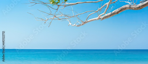 Summer travel concepts with a beach blue sea and sky background featuring colorful branches