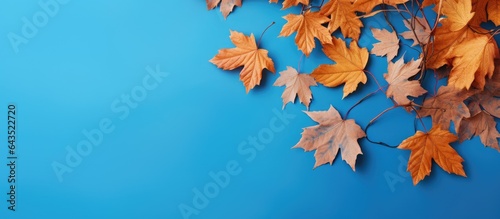 Autumn leaf pattern on blue...