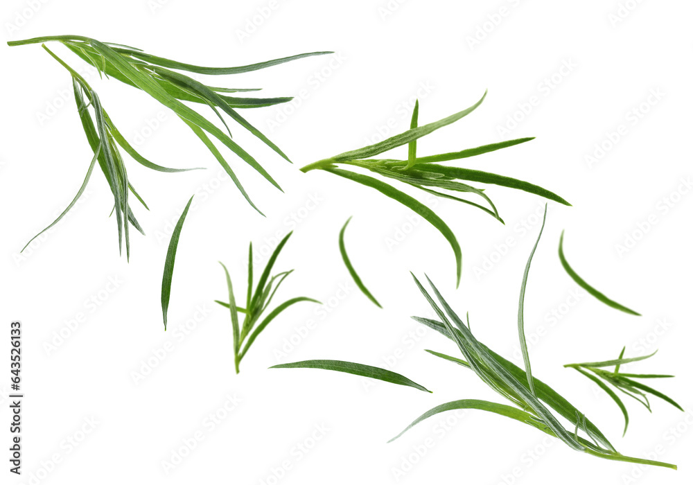 Fototapeta premium Fresh green tarragon falling on white background