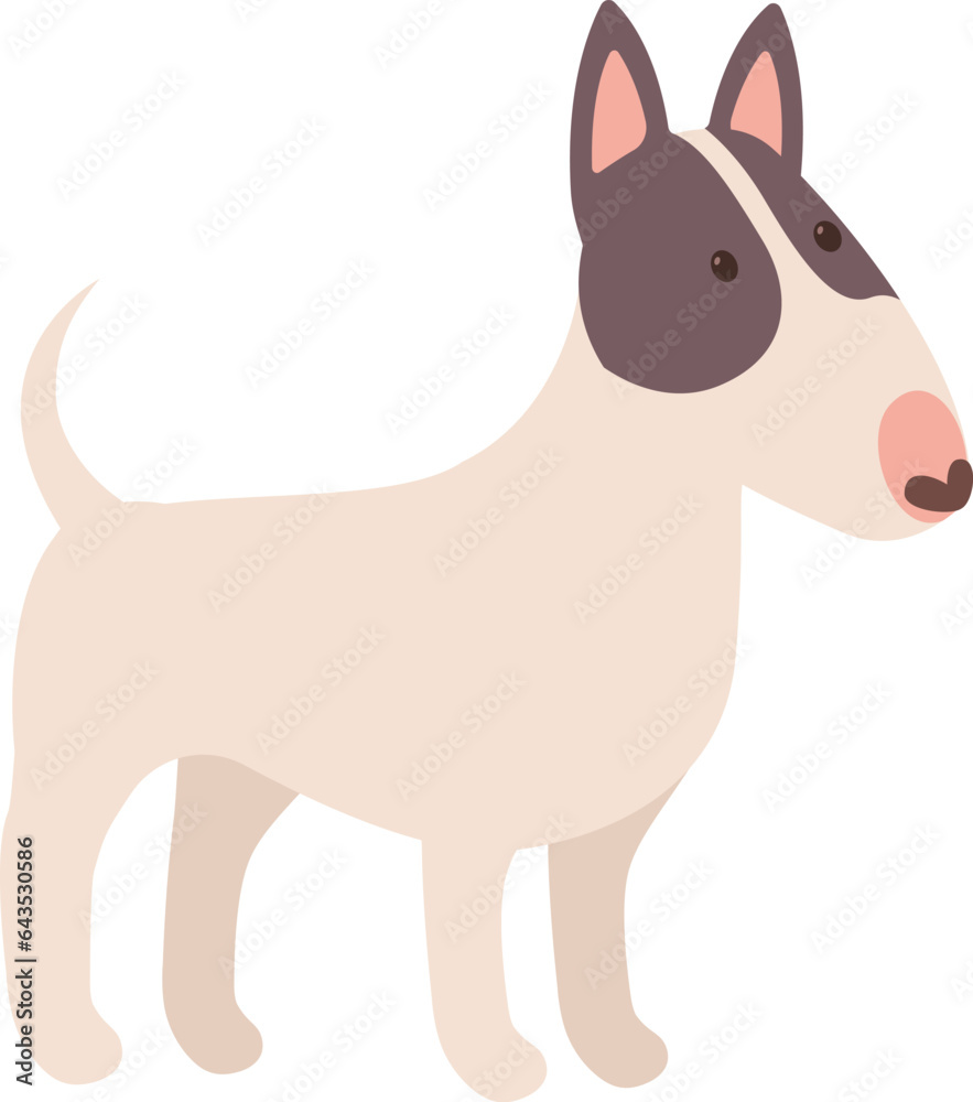 Bull Terrier Dog Pet