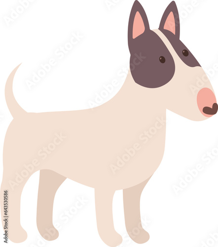 Bull Terrier Dog Pet © Mykola Syvak