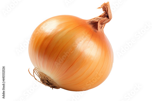 Fényképezés Fresh and organic onion isolated on transparent background in high resolution PN