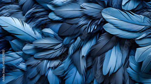 Beautiful black blue crow feathers pattern background.