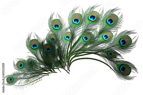 Green and white striped leaves of peacock plant with purple underside isolated on transparent background