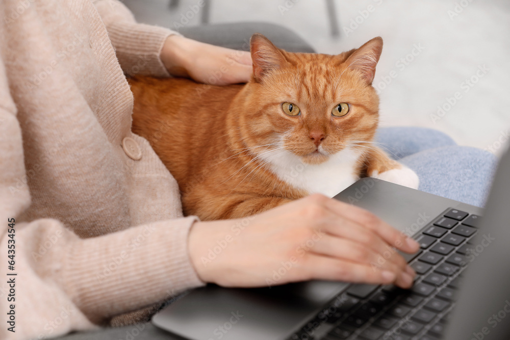 Woman with cat working at home, closeup Woman with cat working at home, closeup