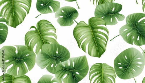 Exotic tropical natural green leaves vector composition on white background