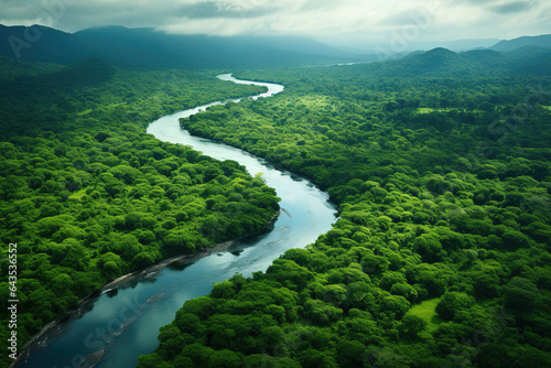 Aerial view of the Amazon rainforest landscape with a river bend and a small canal in the green forest.