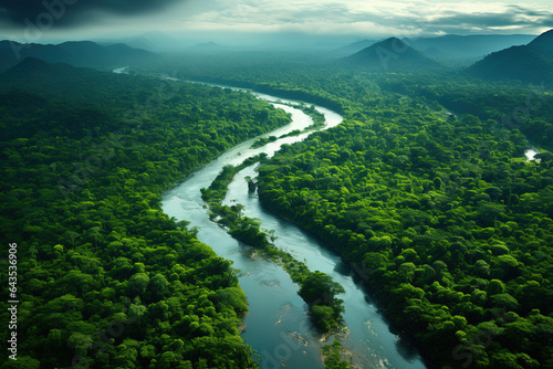 Aerial view of the Amazon rainforest landscape with a river bend and a small canal in the green forest. © RBGallery