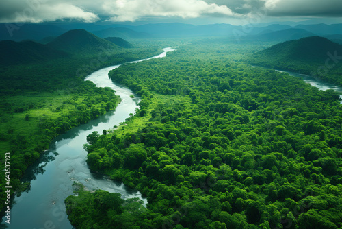 Aerial view of the Amazon rainforest landscape with a river bend and a small canal in the green forest.