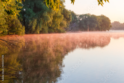 Trees on pond bank, fog above the water at sunrise