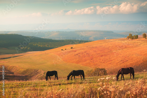 Horses grazing in the autumn mountains at sunset. Gil-Su valley in North Caucasus, Russia. © smallredgirl