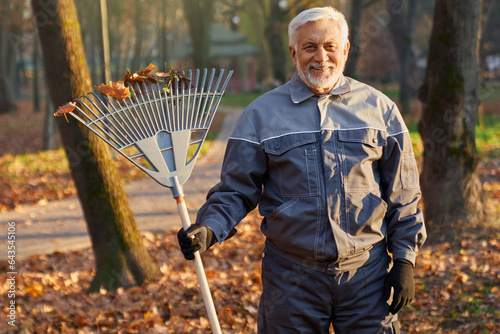 Smiling senior worker posing to camera, while gathering autumn leaves outdoors Fototapet