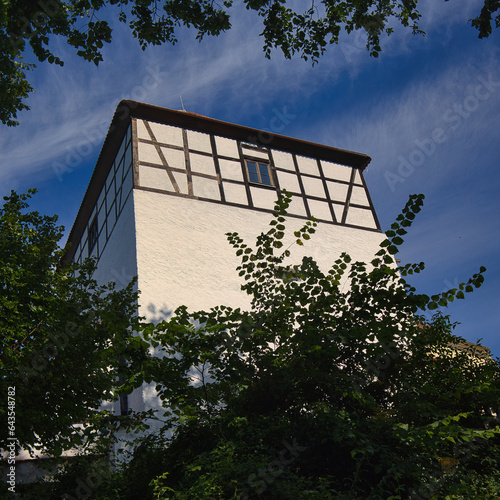 Landschaftsmuseum der Dübener Heide Burg Düben, Bad Düben, Sachsen, Deutschland photo