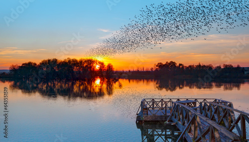 Silhouette of birds flying above the lake at amazing sunset © muratart