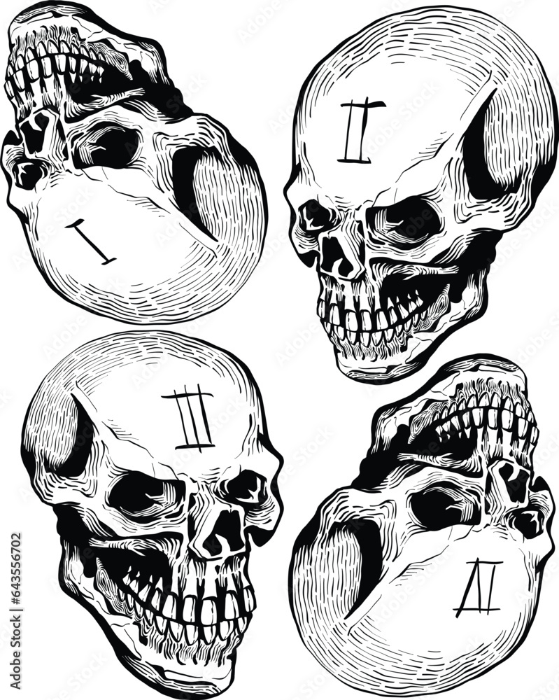 Human skulls with Roman numbers on its head scary fear spooky horror ...