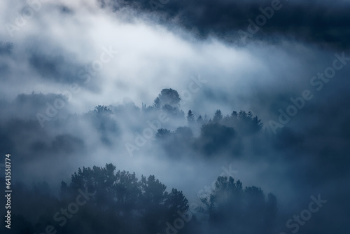 Aerial view of a green forest in the mist of the Dordogne valley