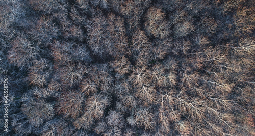 Aerial bird's eye view of a forest of the Dordogne valley in winter