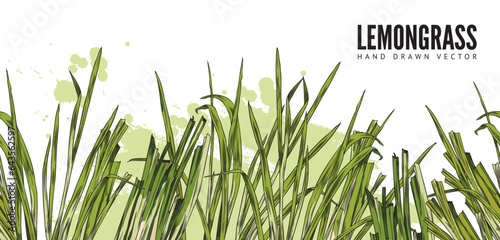 Lemongrass seamless decorative border edge engraving sketch vector illustration.