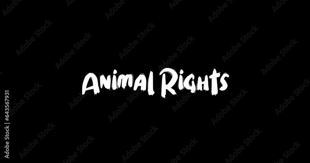 Animal Rights Effect of Grunge Transition Bold Text Typography Animation on Black Background Animal Rights Effect of Grunge Transition Bold Text Typography Animation on Black Background