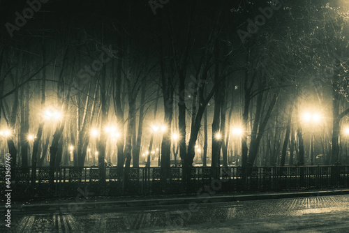 Fototapeta boulevard at foggy rainy night