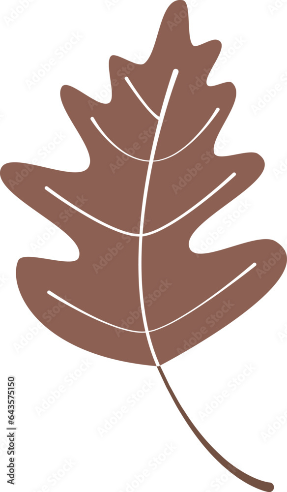 Obraz premium Floral Botanical Leaf