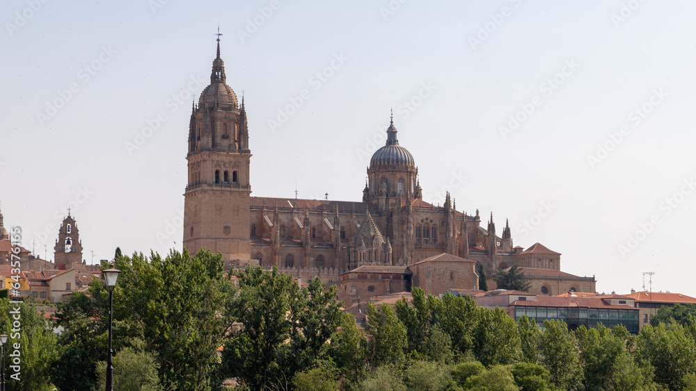 cathedral of Salamanca