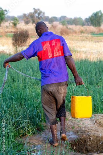 Microfinance client growing onions in Namong, Tone district, Togo. photo